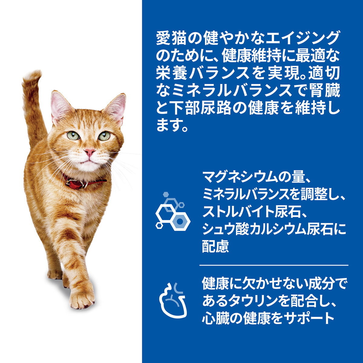 ヒルズ サイエンスダイエット キャットフード 猫用 シニア 7歳以上 チキン パウチ 85g