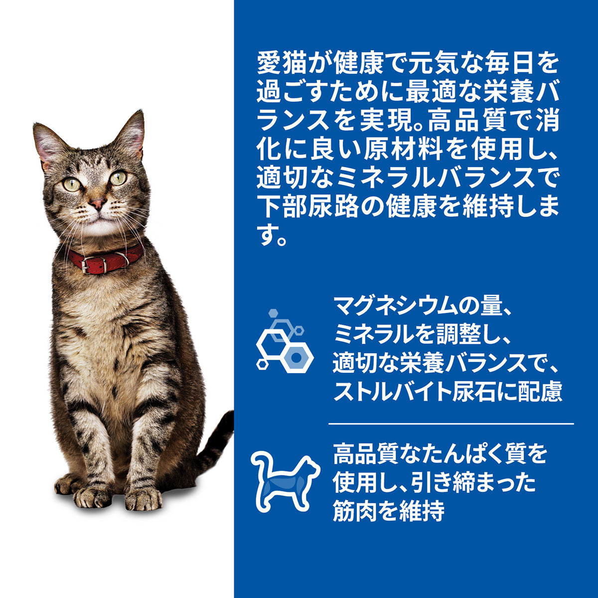 ヒルズ サイエンスダイエット キャットフード 猫用 アダルト 1～6歳 サーモン パウチ 85g×48個セット【送料無料】