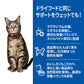 ヒルズ サイエンスダイエット キャットフード 猫用 アダルト 1～6歳 チキン パウチ 85g