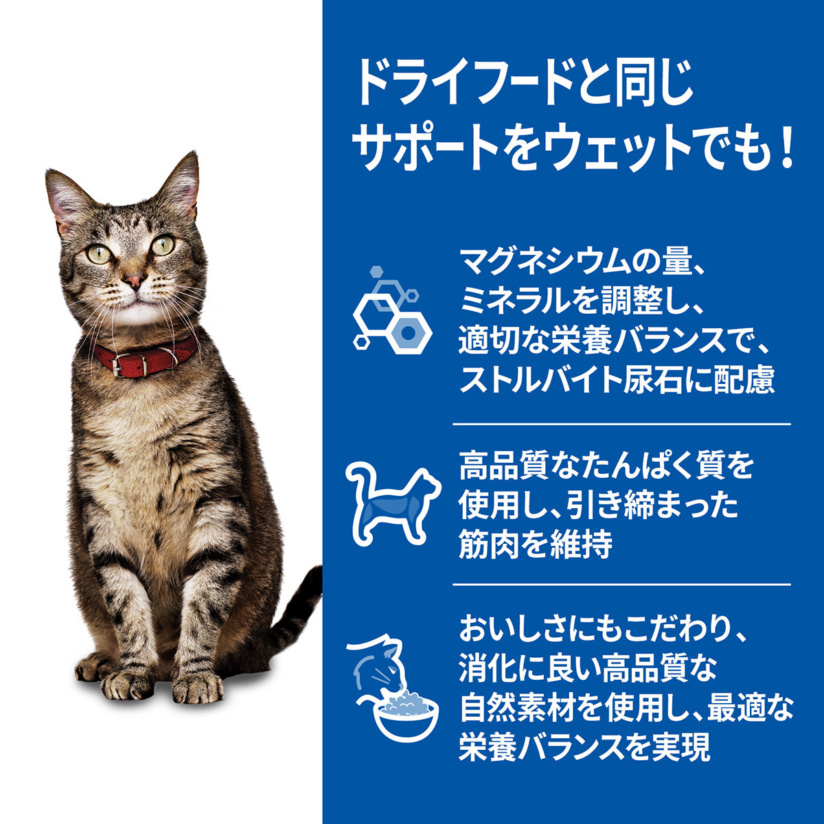 ヒルズ サイエンスダイエット キャットフード 猫用 アダルト 1～6歳 チキン パウチ 85g