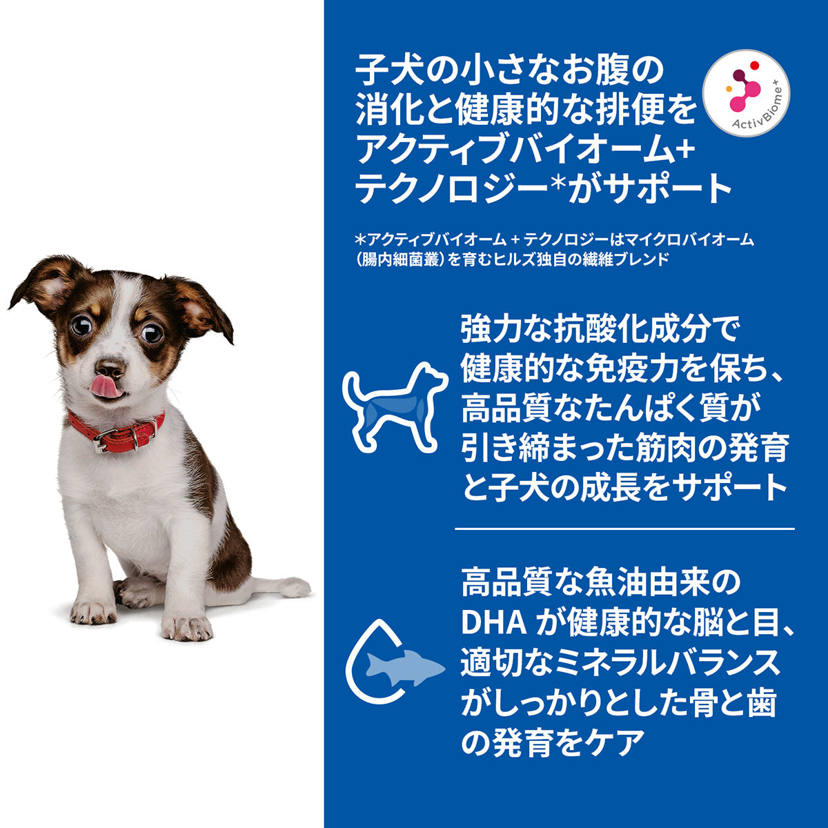 ヒルズ サイエンスダイエット ドッグフード 小型犬用 パピープレミアム 12ヶ月まで チキン ムース 200g