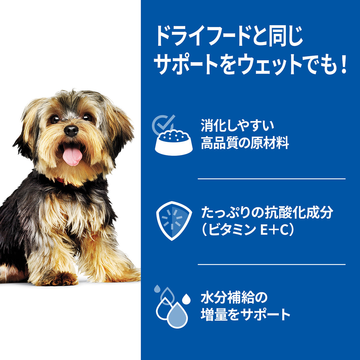 ヒルズ サイエンスダイエット ドッグフード 小型犬用 アダルト 1～6歳 チキン ムース 200g×12個セット【送料無料】