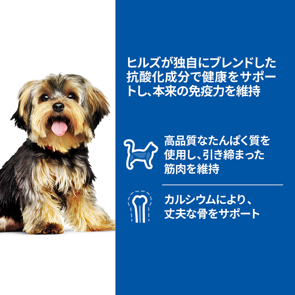 ヒルズ サイエンスダイエット ドッグフード 小型犬用 アダルト 1～6歳 ビーフ ムース 200g