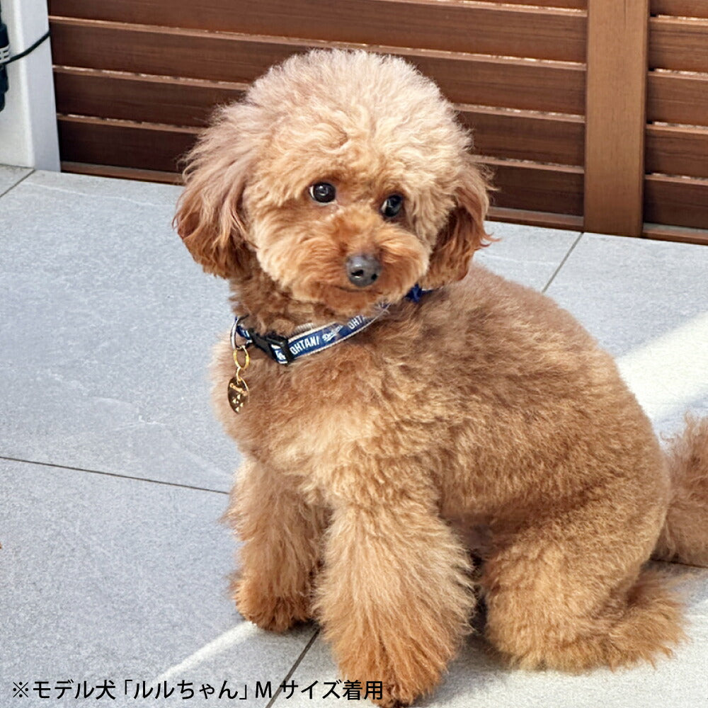 MLB公認 ロサンゼルス ドジャース 大谷翔平選手モデル カラー（首輪） L【送料無料】 犬 野球