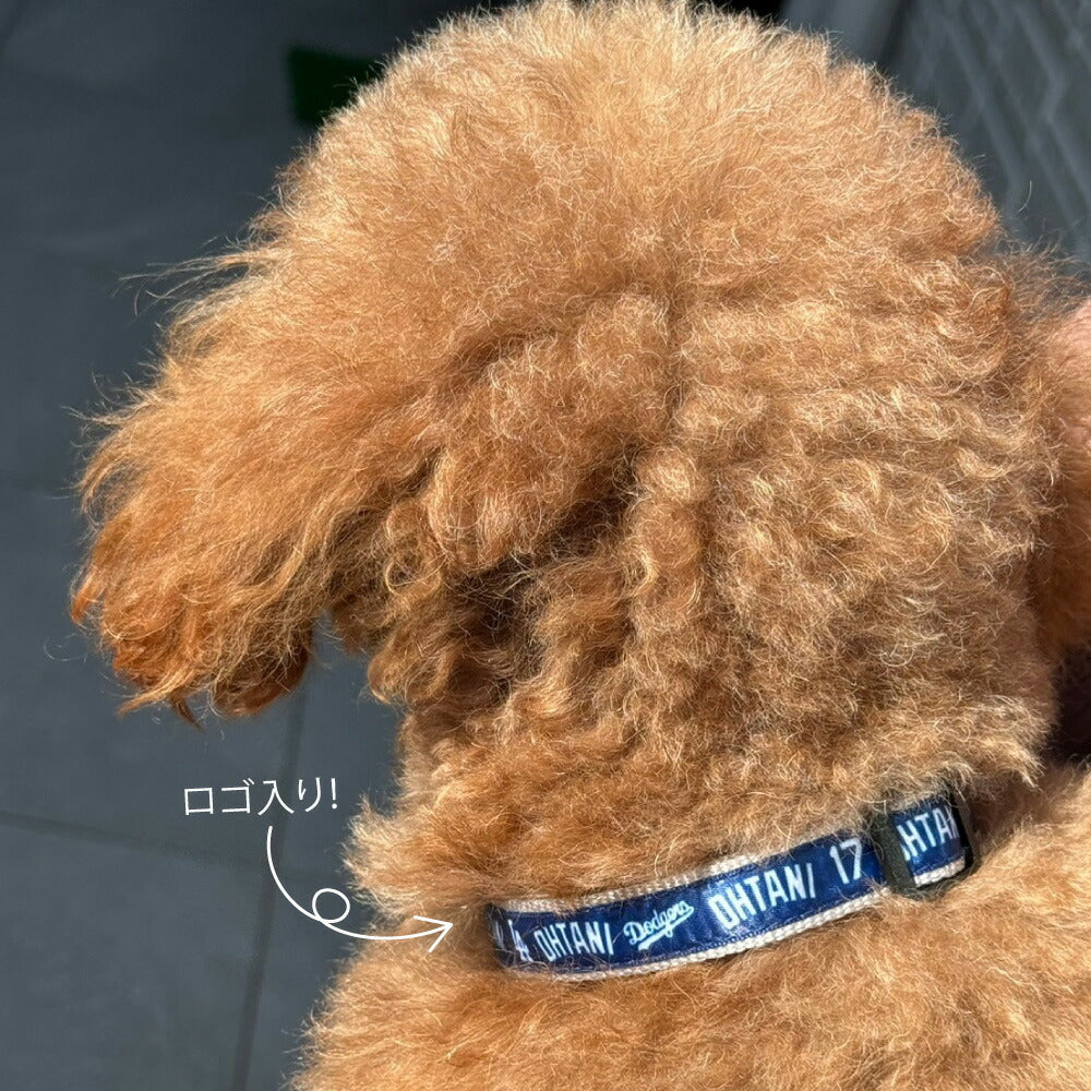 MLB公認 ロサンゼルス ドジャース 大谷翔平選手モデル カラー（首輪） L【送料無料】 犬 野球