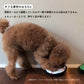 MLB公式 ロサンゼルス ドジャース 大谷翔平選手モデル 犬用 タフトイ ベースボール