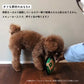 MLB公式 ロサンゼルス ドジャース 大谷翔平選手モデル 犬用 タフトイ フィールド