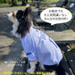 MLB公認 ロサンゼルス ドジャース 大谷翔平選手モデル Tシャツ XL ブルー【送料無料】 犬服 洋服 ドッグウェア ユニフォーム 野球