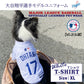 MLB公認 ロサンゼルス ドジャース 大谷翔平選手モデル Tシャツ XL ホワイト【送料無料】 犬服 洋服 ドッグウェア ユニフォーム 野球