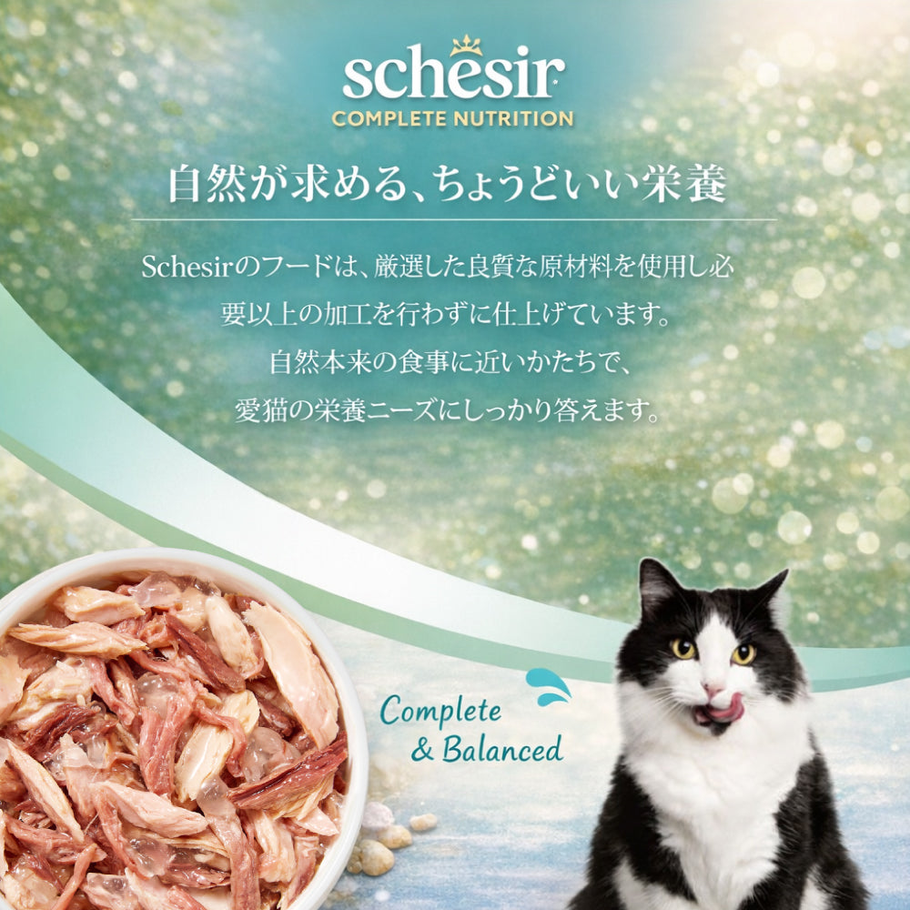 Schesir シシア パウチ ツナwithビーフ キャットフード 85g×12個