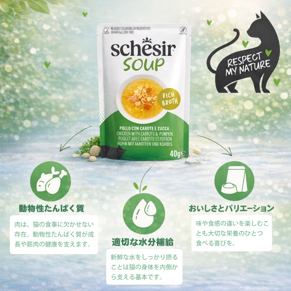 Schesir シシア スープ チキンwithキャロットandパンプキン キャットフード 40g×12個