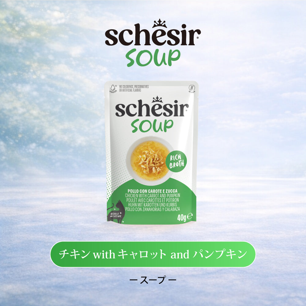 Schesir シシア スープ チキンwithキャロットandパンプキン キャットフード 40g