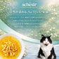 Schesir シシア スープ チキンwithキャロットandパンプキン キャットフード 40g
