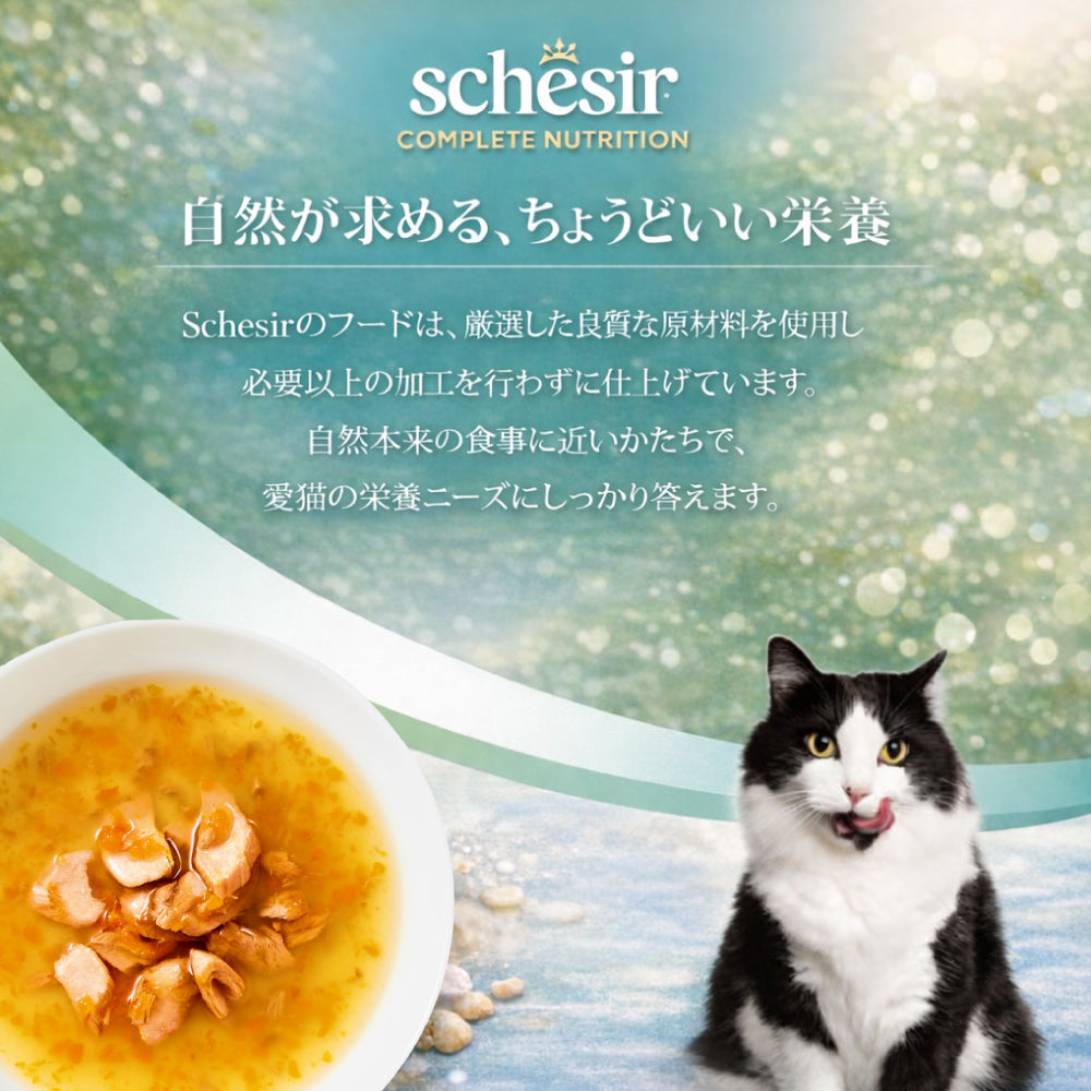 Schesir シシア スープ サーモンandキャロット キャットフード 40g×12個