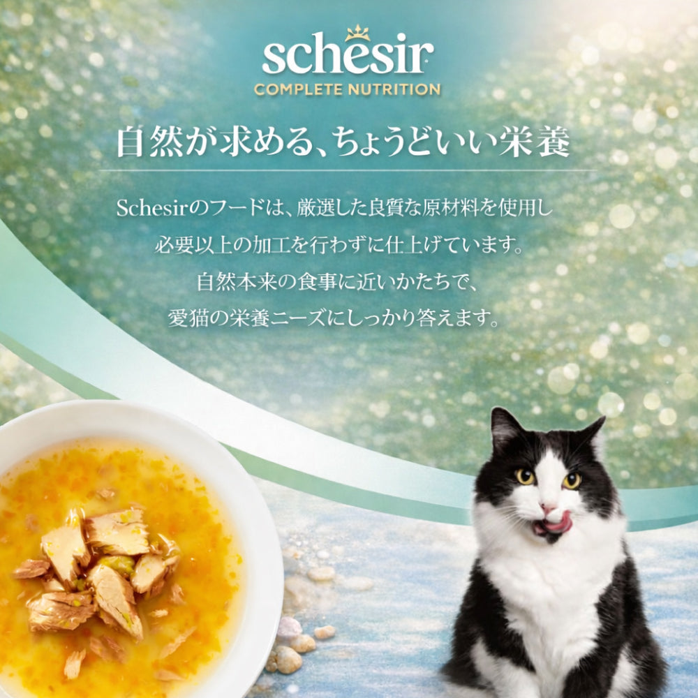Schesir シシア スープ ツナwithキャロットandパンプキン キャットフード 40g×12個