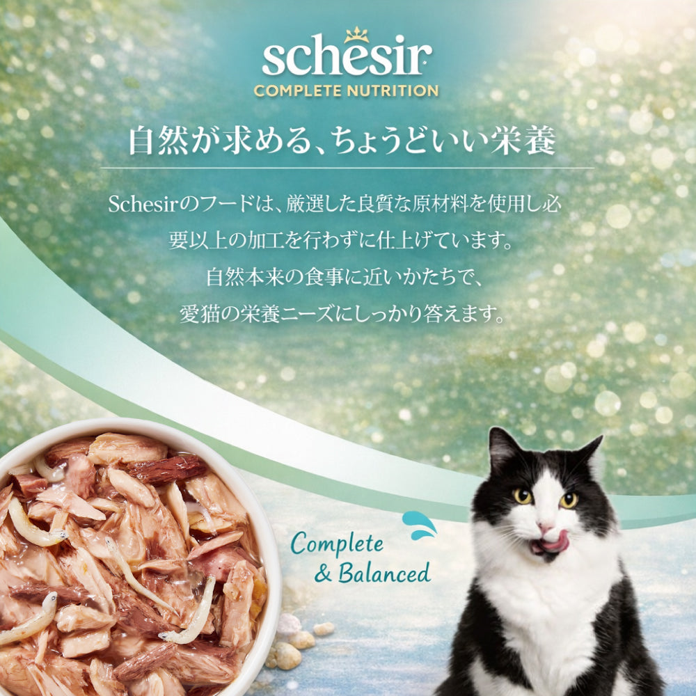 Schesir シシア パウチ ツナwithシラス キャットフード 85g
