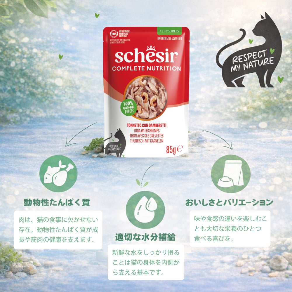 Schesir シシア パウチ ツナwithエビ キャットフード 85g