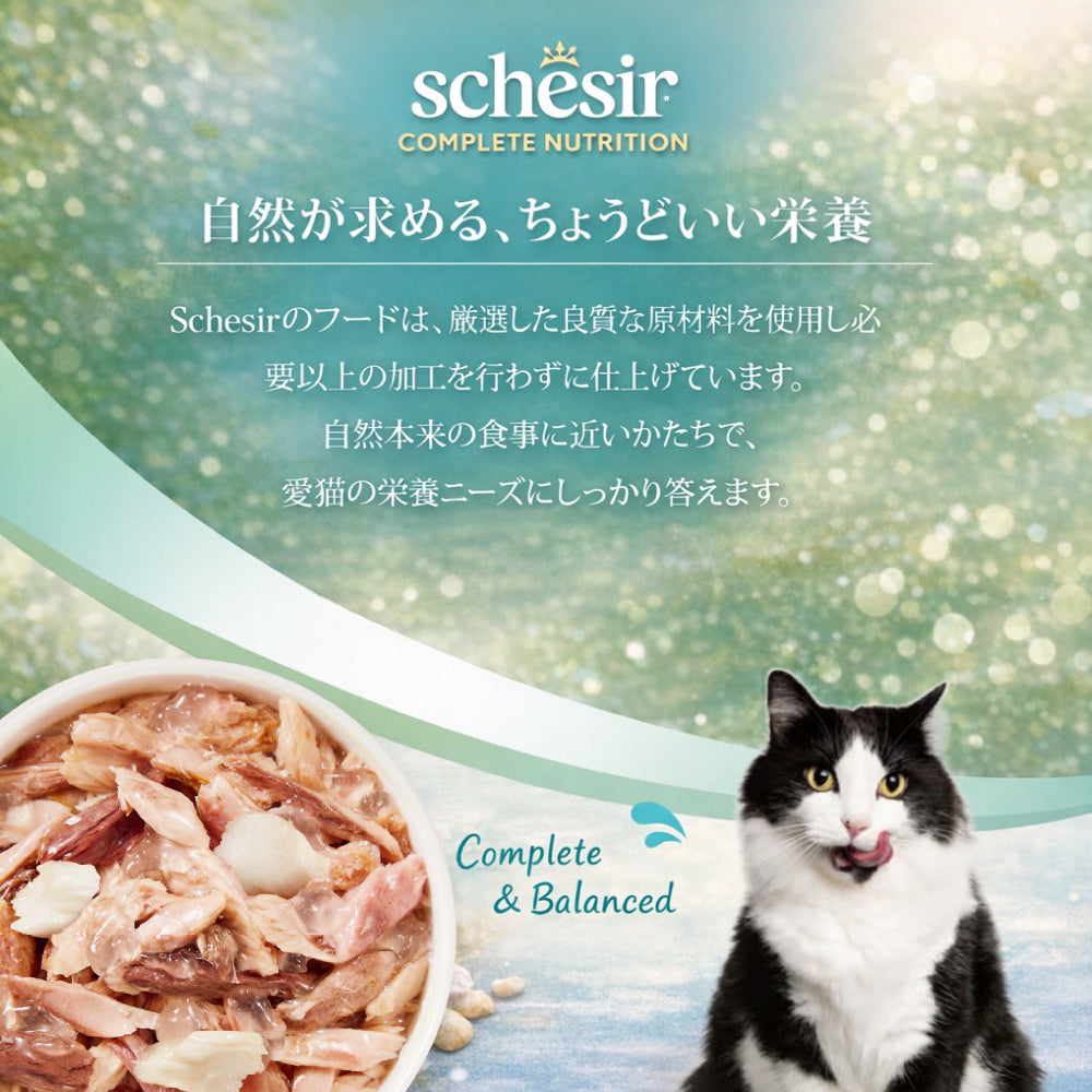 Schesir シシア ツナwithシーブリーム（鯛） 猫缶 キャットフード 85g