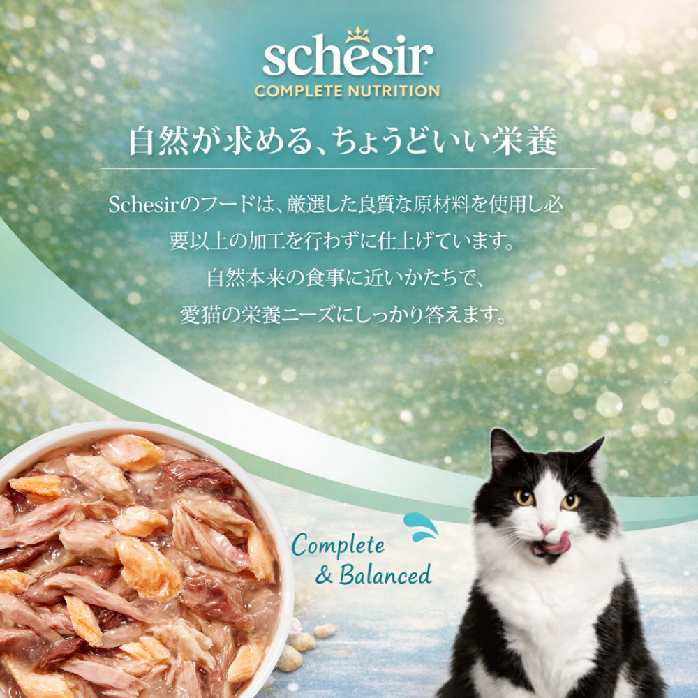 Schesir シシア ツナwithサーモン 猫缶 キャットフード 85g