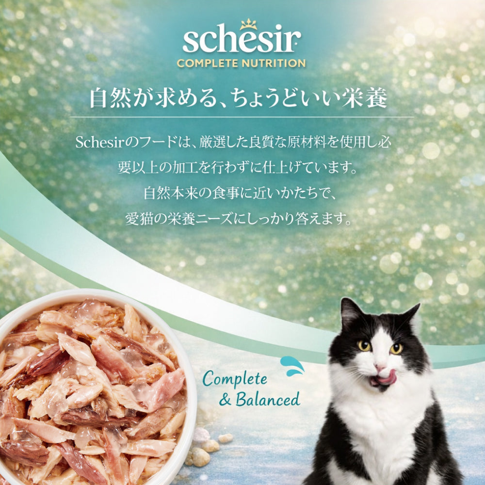 Schesir シシア ツナ 猫缶 キャットフード 85g
