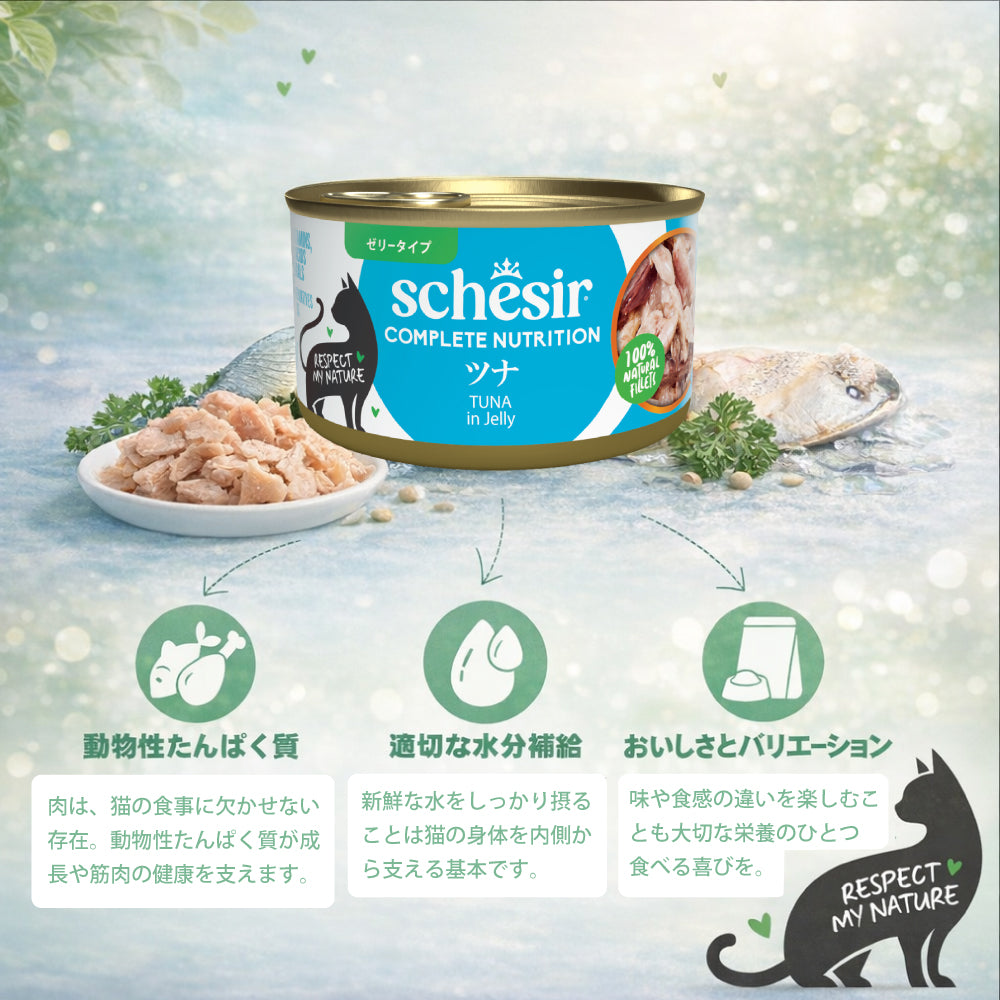 Schesir シシア ツナ 猫缶 キャットフード 85g