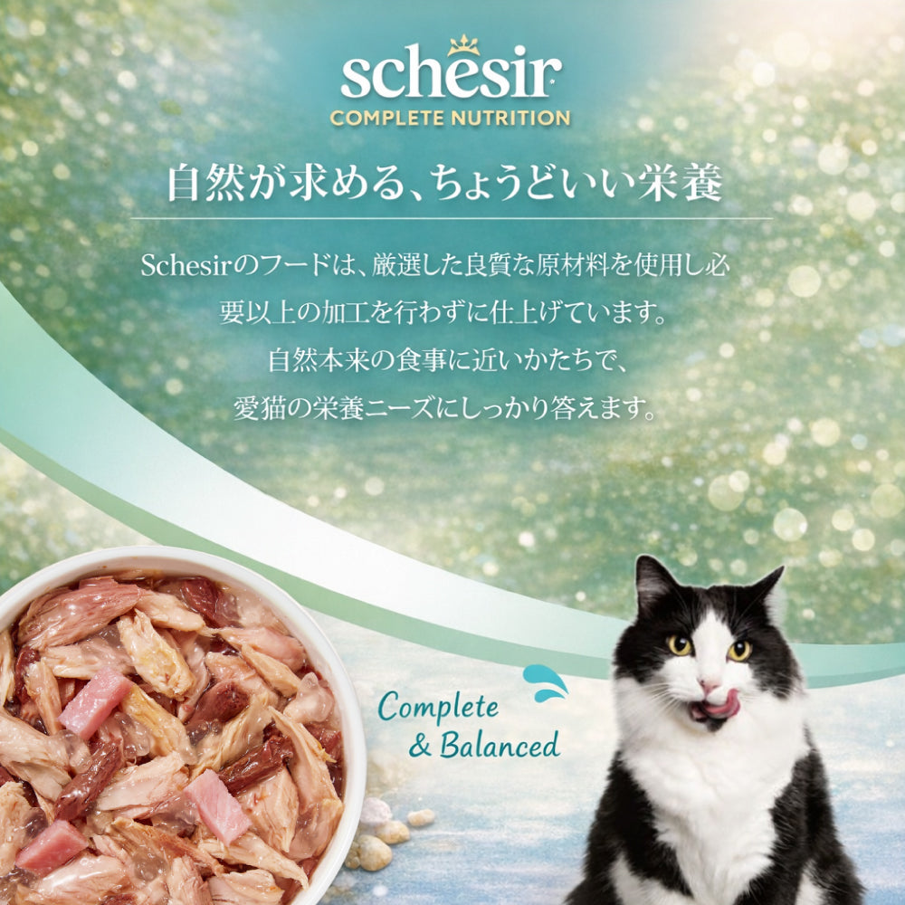 Schesir シシア ツナwithハム 猫缶 キャットフード 85g