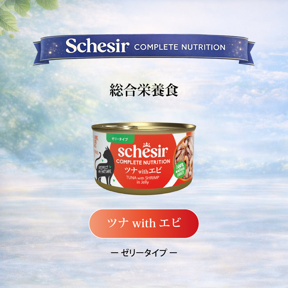 Schesir シシア ツナwithエビ 猫缶 キャットフード 85g
