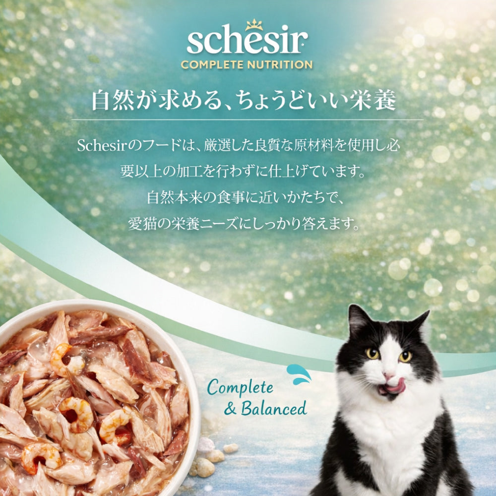 Schesir シシア ツナwithエビ 猫缶 キャットフード 85g
