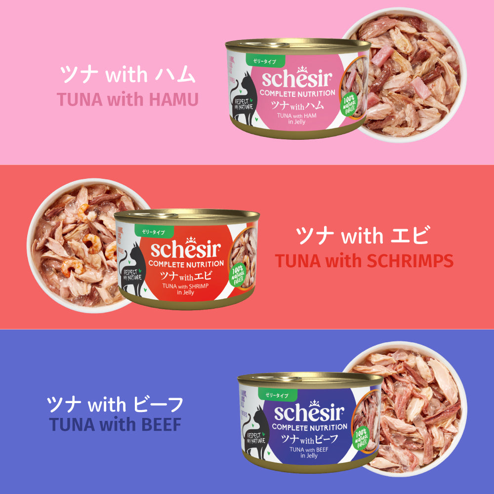 Schesir シシア ツナwithエビ 猫缶 キャットフード 85g