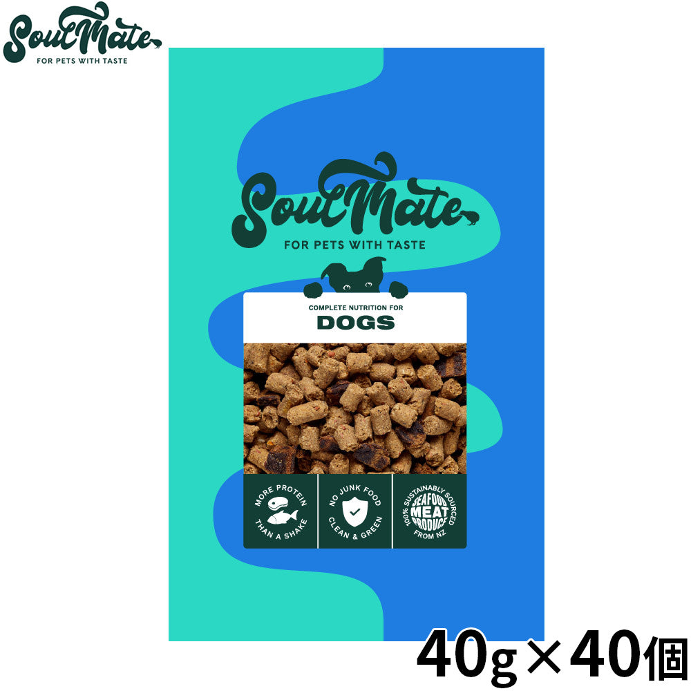 SoulMate ソウルメイトDOGベイクド＆エアドライフード ドッグフード シーフード