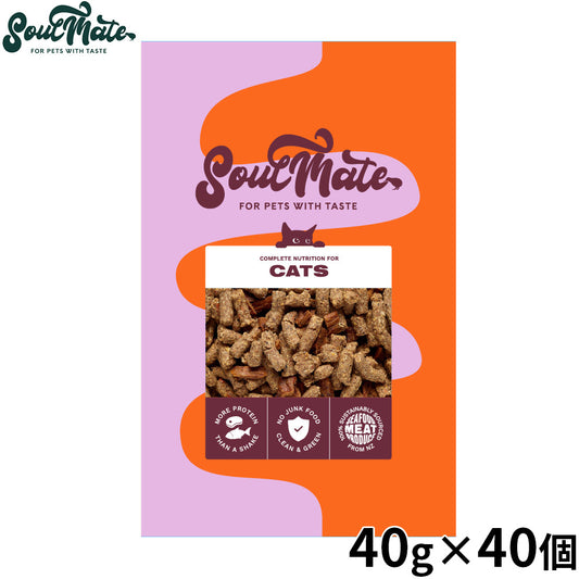 SoulMate ソウルメイト CATベイクド＆エアドライフード キャットフード チキン 40g×40個