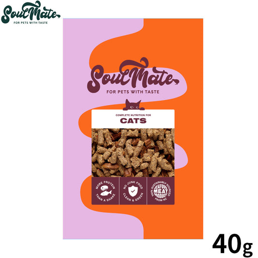 SoulMate ソウルメイト CATベイクド＆エアドライフード キャットフード チキン 40g
