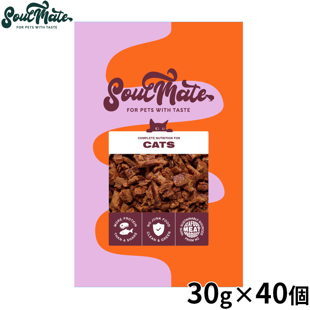 SoulMate ソウルメイトCATエアドライフード キャットフード チキン