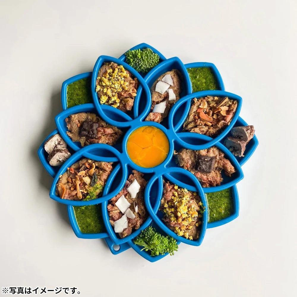 ソダパップ Eトレイ マンダラ ドッグフィーダー グリーン【送料無料】