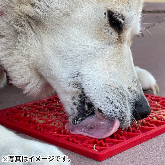 ソダパップ Eマット ピース ドッグフィーダー L レッド【送料無料】