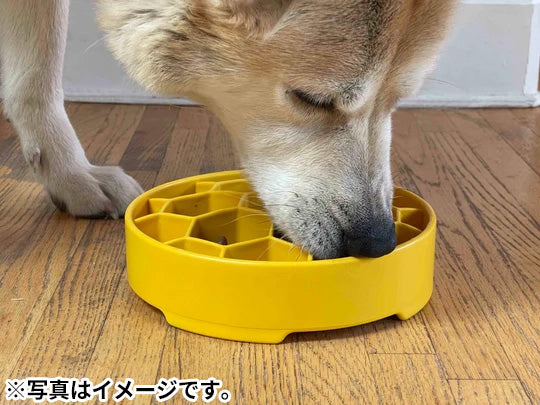 ソダパップ Eボウル ハニコーム ドッグフィーダー イエロー【送料無料】