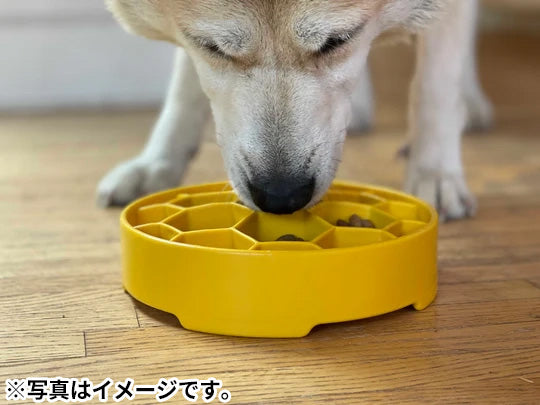 ソダパップ Eボウル ハニコーム ドッグフィーダー イエロー【送料無料】