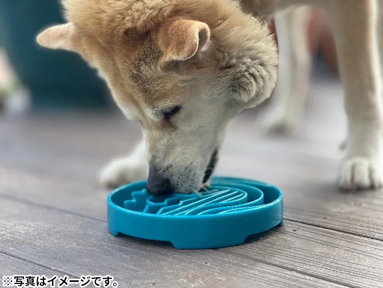 ソダパップ シャローEボウル バジャ ドッグフィーダー シーフォームブルー【送料無料】