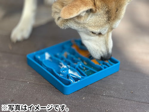 ソダパップ Eトレイ ウエイティングドッグ ドッグフィーダー ブルー【送料無料】