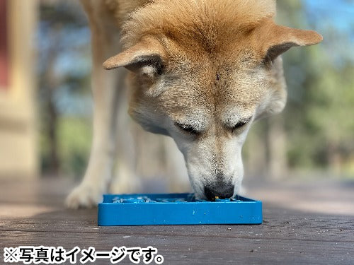 ソダパップ Eトレイ ウエイティングドッグ ドッグフィーダー ブルー【送料無料】