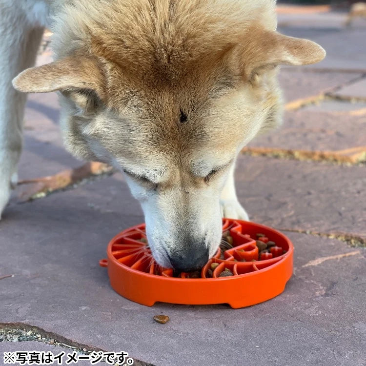ソダパップ シャローEボウル 月と太陽 ドッグフィーダー バーントオレンジ【送料無料】