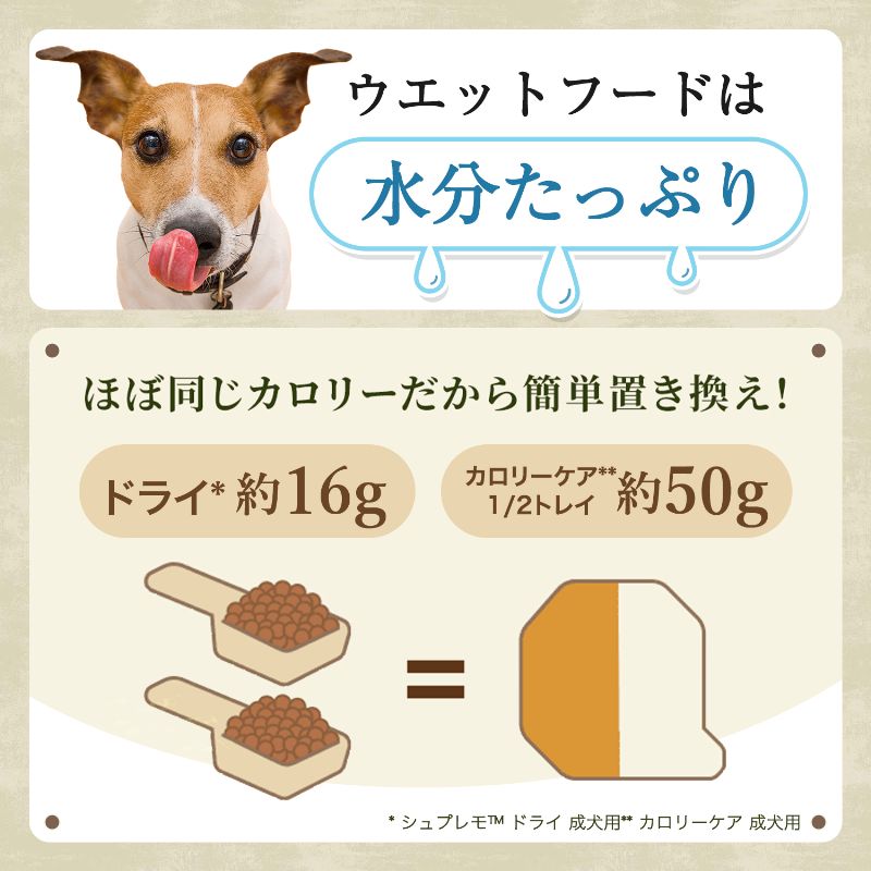 ニュートロ シュプレモ ウェットフード ドッグフード シニア犬用 100g 無添加 水分補給 トレイ