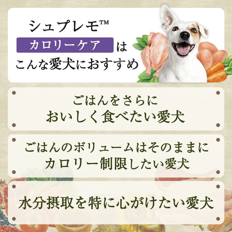 ニュートロ シュプレモ ウェットフード ドッグフード シニア犬用 100g 無添加 水分補給 トレイ