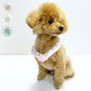 スオ リング フォー ドッグ SUO RING for dogs 28°ICE スター リフレクター デコレボタン付 LLB ブルー