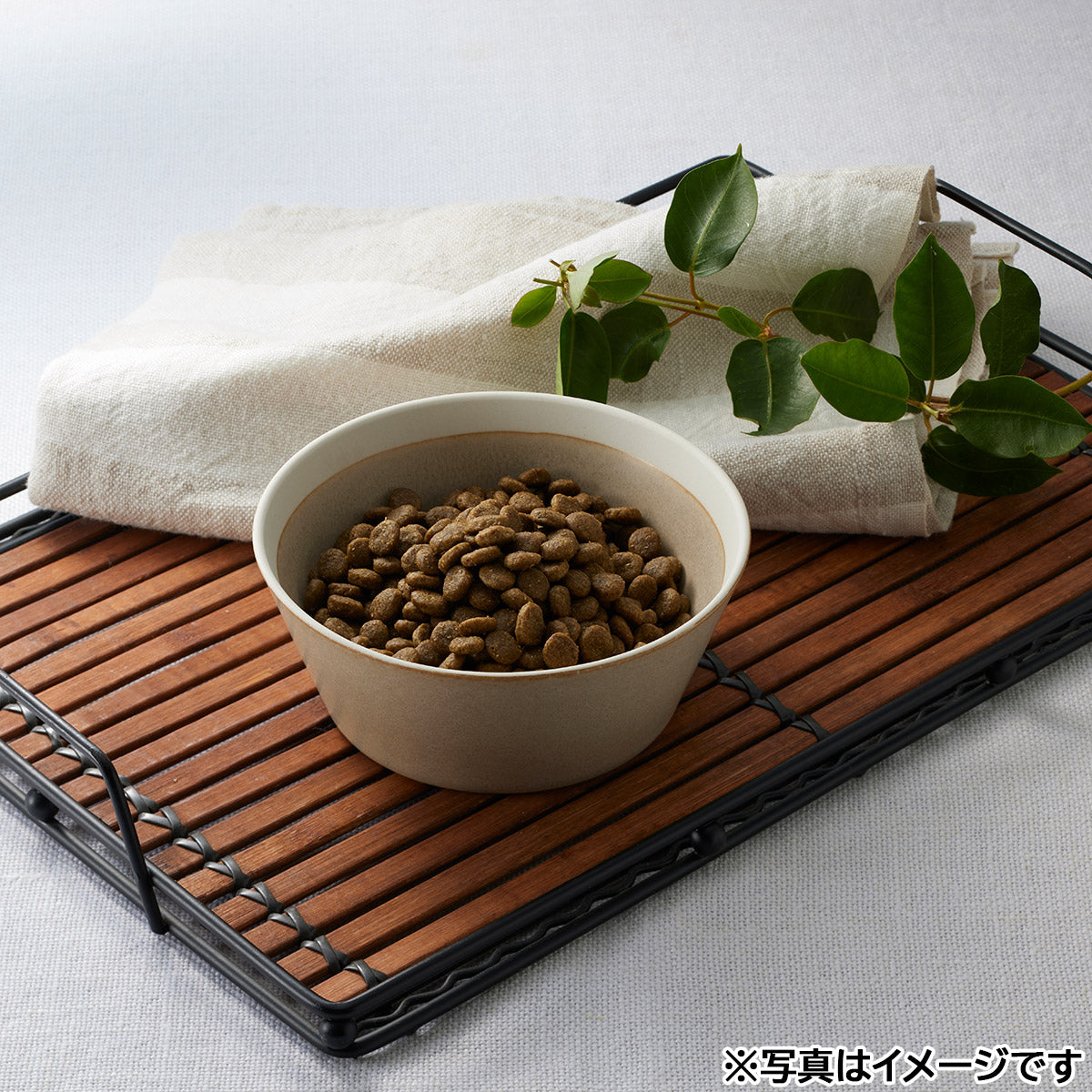 ソルビダ SOLVIDA ドッグフード グレインフリー チキン 室内飼育体重管理用 1.8kg×6個セット