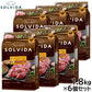 ソルビダ SOLVIDA ドッグフード グレインフリー ターキー 室内飼育全年齢用 1.8kg×6個セット
