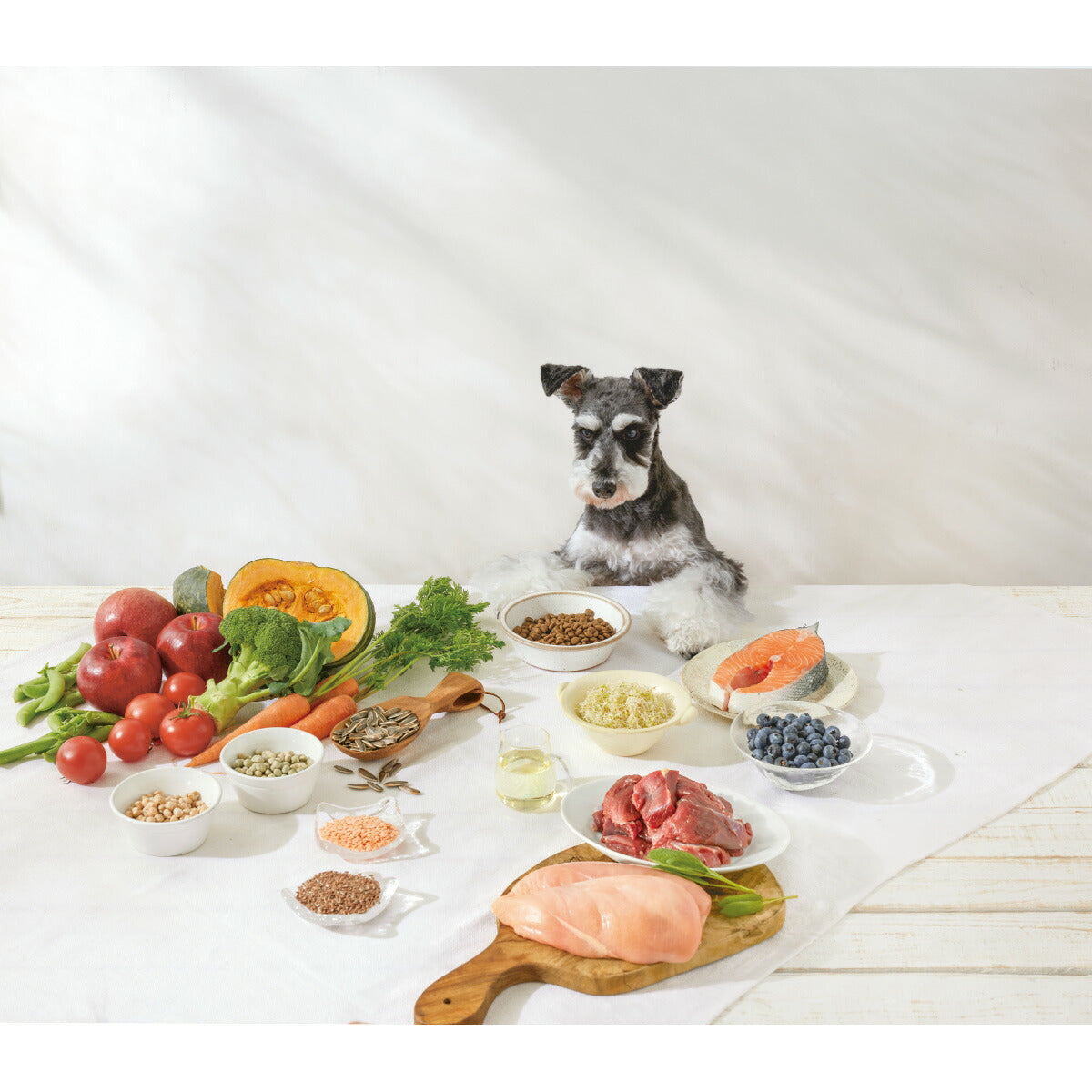 ソルビダ SOLVIDA ドッグフード グレインフリー ターキー 室内飼育全年齢用 1.8kg×6個セット