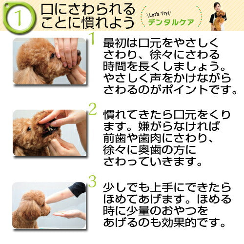 トーラス 初めての歯みがきセット 21g