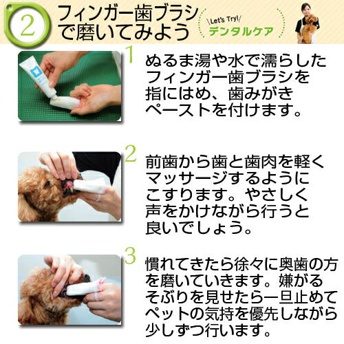 トーラス 初めての歯みがきセット 21g