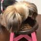 トーラス 愛犬用 歯みがきラクヤー 歯みがきを食べる 25g